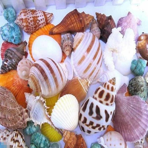 100g marine natural aquarium - ,