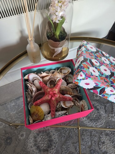 Decorative box with seashells - box,
