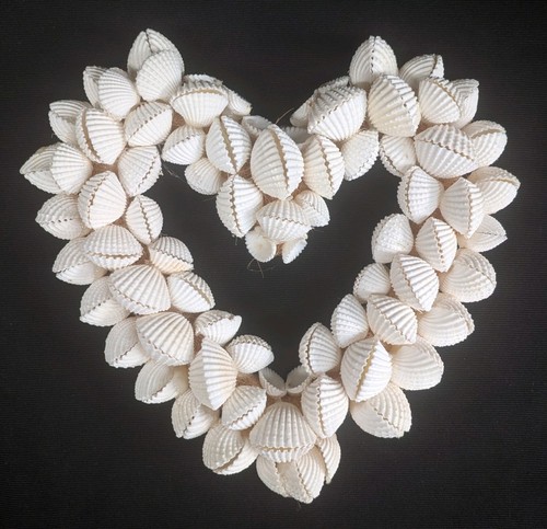 Natural white seashell heart - white,