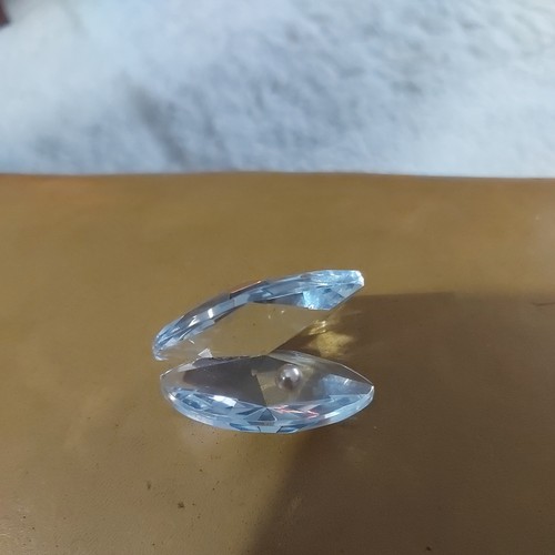 Crystal clam oyster shell with