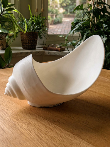 Conch shell catch - shell, all
