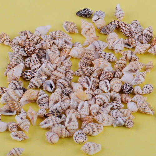 100pcs small sea - 100pcs,