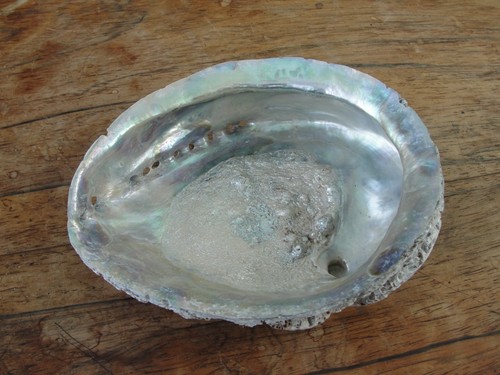 Natural shell ocean - 16,