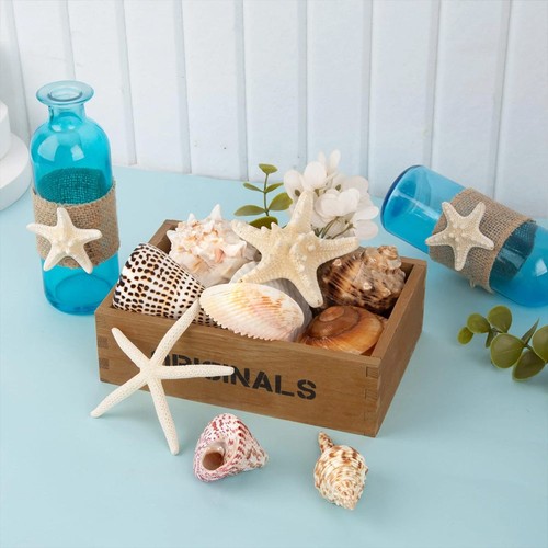 12pcs large sea - large,