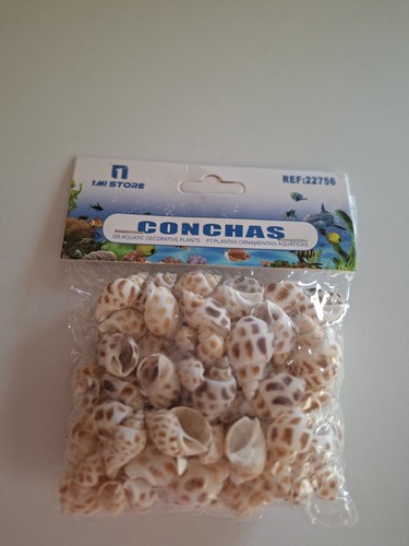Sealed bag seashells for - bag,