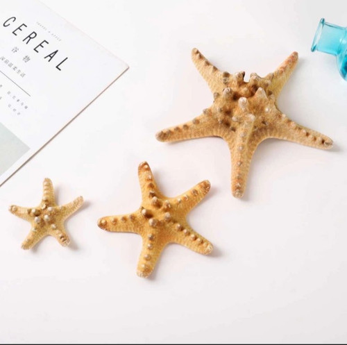 Natural starfish 50mm - natural, 50mm-70mm