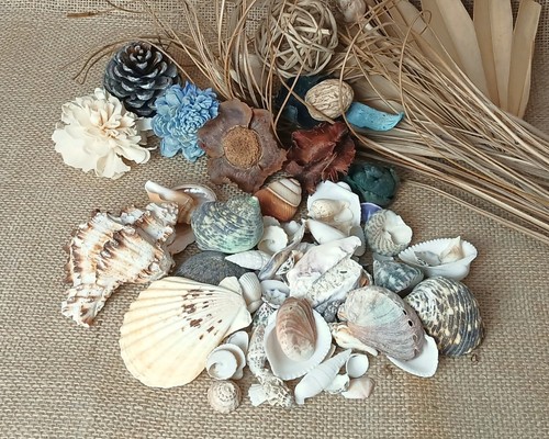 400g mixed natural - mixed, seashell
