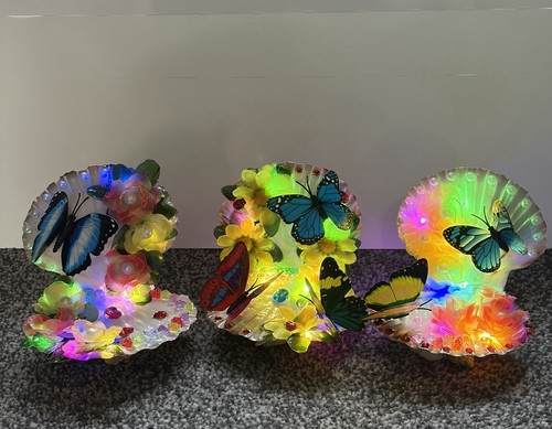 Decorative natural seashells