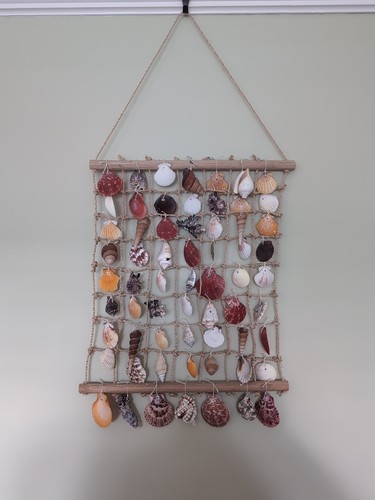 Medium seashell net beach - medium,
