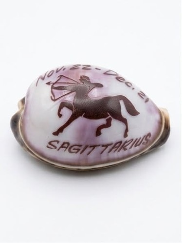 Sagittarius zodiac seashell - sagittarius,