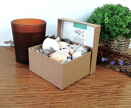 150g mixed natural seashells - mixed,