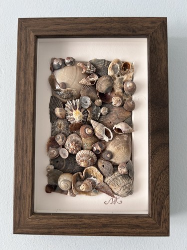 Shells frame beach decor - frame,