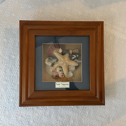 Seashell shadowbox framed art - seashell,