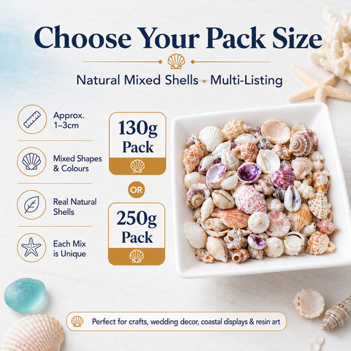 Craft shells natural beach - craft,