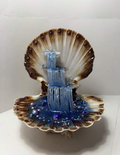Decorative natural seashell - decorative,