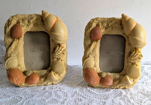 Pair resin seashell photo - resin,