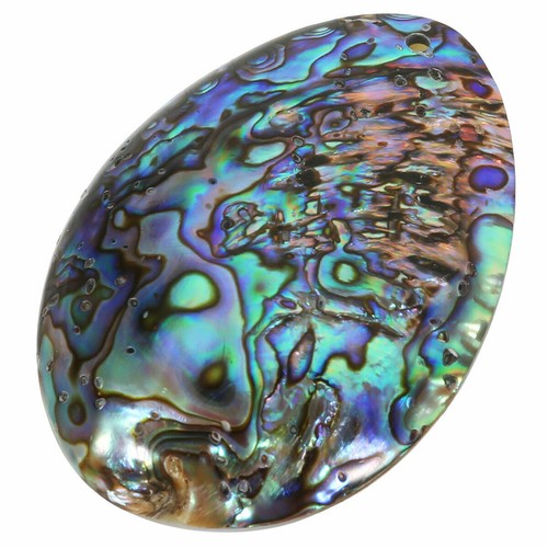 Seashell abalone shell pendant - seashell,