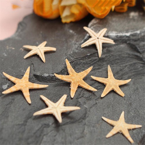 100pcs cute small - 100pcs, mini