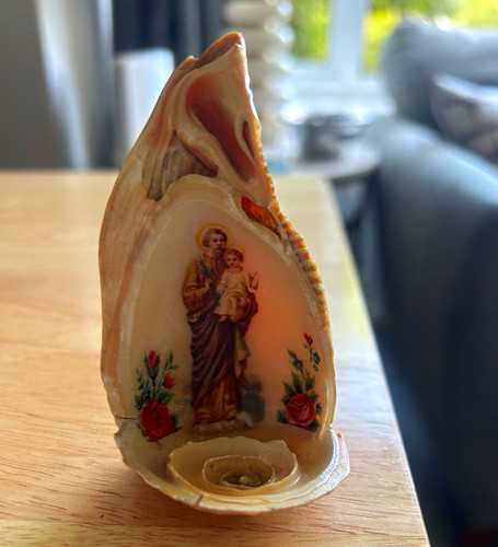 Polished decorative seashell - decorative,