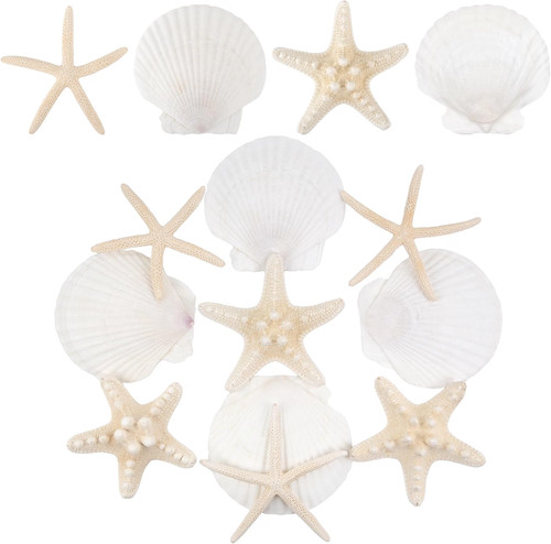 Pcs mixed starfish and - mixed,