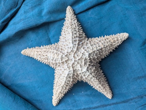 Vintage large ocean beach - vintage,