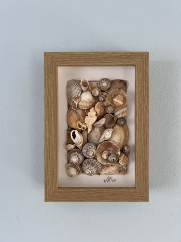 Shells frame beach decor - shells,