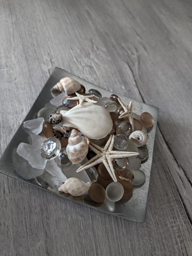 Decorative beach seashell - beach, &