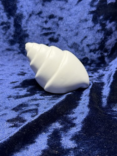 Vintage white ceramic conch - white,