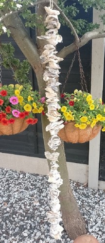 Oyster shell garland metre - oyster,